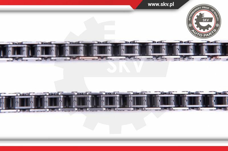 Esen SKV 21SKV224 - Timing Chain Kit parts5.com