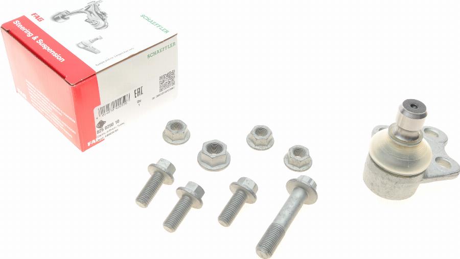 FAG 825 0250 10 - Kande / juhtliigend parts5.com