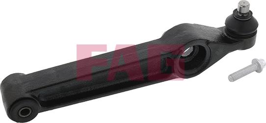 FAG 821 0289 10 - Brat, suspensie roata parts5.com