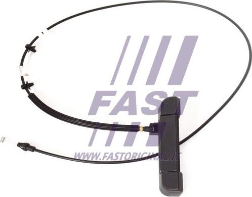 Fast FT94560 - Door Handle parts5.com