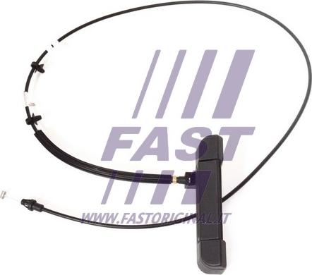 Fast FT94560 - Door Handle parts5.com