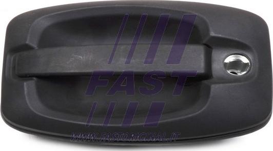 Fast FT94391 - Maner usa parts5.com