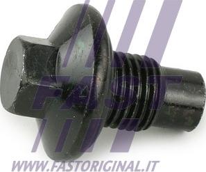 Fast FT94735 - Tapón roscado, colector de aceite parts5.com