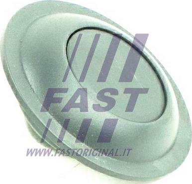 Fast FT95590 - Buton de inchidere parts5.com