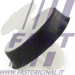 Fast FT96309 - Clips, acoperire decorativa si protectie parts5.com