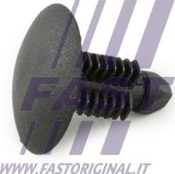 Fast FT96308 - Pidike, jarruletku parts5.com