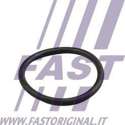 Fast FT49919 - Těsnění, potrubí chladicí kapaliny parts5.com