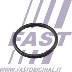 Fast FT49917 - Gasket, thermostat parts5.com