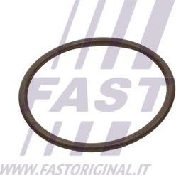 Fast FT49933 - Seal Ring, turbo air hose parts5.com