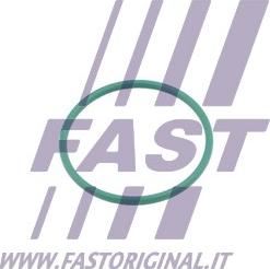 Fast FT49921 - Tiivisterengas, ahtoilmaletku parts5.com