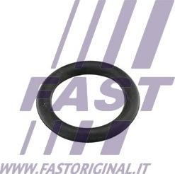 Fast FT49419 - Garnitura, galerie admisie parts5.com