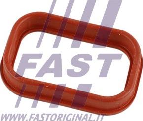 Fast FT49435 - Tömítés, szívókönyök parts5.com