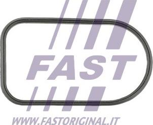 Fast FT49425 - Těsnění, koleno sacího potrubí parts5.com