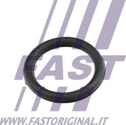 Fast FT49420 - Garnitura, galerie admisie parts5.com