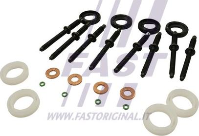 Fast FT49653 - Garnitura zaptivki, brizgaljka za ubrizgavanje parts5.com