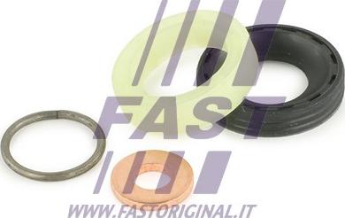 Fast FT49842 - Garnitura zaptivki, brizgaljka za ubrizgavanje parts5.com