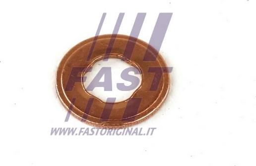 Fast FT49847 - Dichtung, Düsenhalter parts5.com