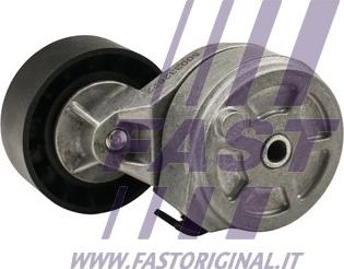 Fast FT44667 - Seade / juhtrull,soonrihm parts5.com