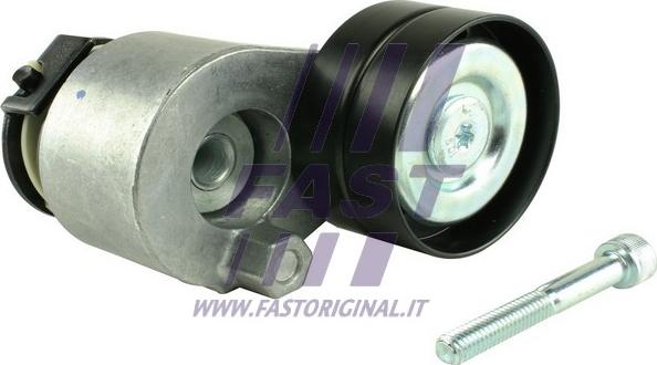 Fast FT44616 - Skretni / vodeći valjak, klinasti rebrasti remen parts5.com