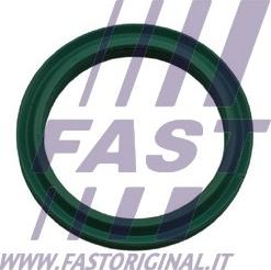 Fast FT48933 - Seal Ring, turbo air hose parts5.com