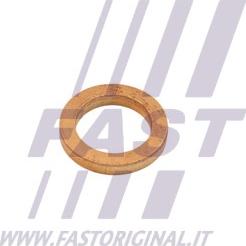 Fast FT48802 - Tiiviste, ilman sisäänotto (ahdin) parts5.com