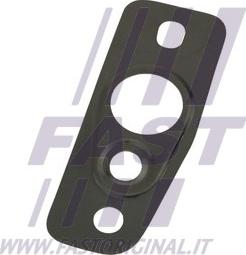 Fast FT48807 - Seal Ring, oil outlet (charger) parts5.com