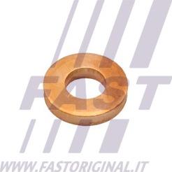 Fast FT47801 - Heat Shield, injection system parts5.com