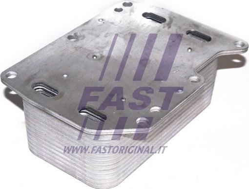 Fast FT55143 - Motor yağ radyatörü parts5.com