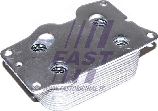 Fast FT55292 - Radiador de aceite, aceite motor parts5.com