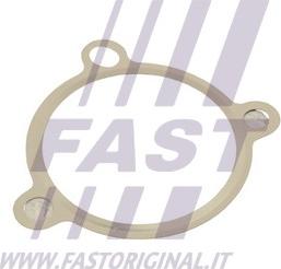 Fast FT50605 - Tömítés, AGR szelep parts5.com