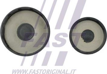 Fast FT50818 - Cep za blok motorja proti zmrzovanju parts5.com