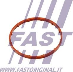 Fast FT50701 - Garnitura, pompa vacuum parts5.com