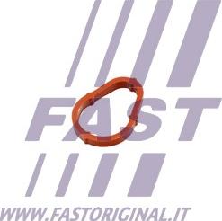 Fast FT50702 - Garnitura, pompa vacuum parts5.com