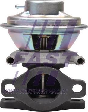 Fast FT60230 - EGR Valve parts5.com