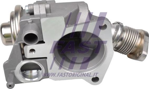 Fast FT60229 - Zawór AGR parts5.com