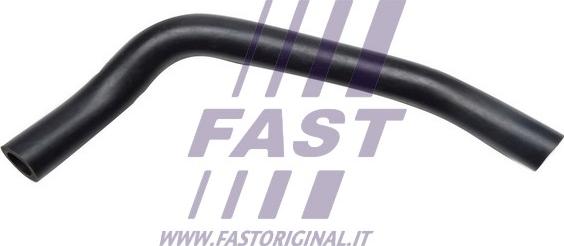 Fast FT61806 - Hose, air supply parts5.com