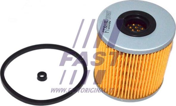 Fast FT39105 - Filtru combustibil parts5.com