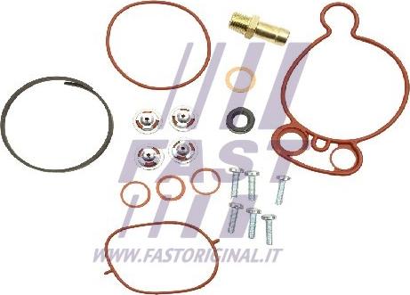 Fast FT36031 - Repair Set, vacuum pump (braking system) parts5.com