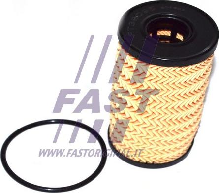 Fast FT38095 - Filtar za ulje parts5.com