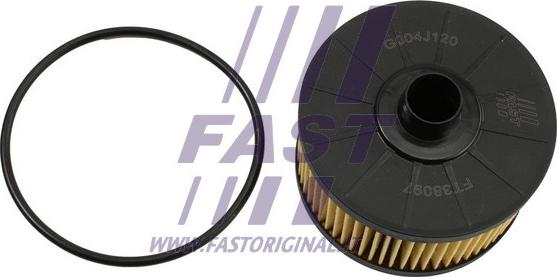 Fast FT38097 - Olajszűrő parts5.com