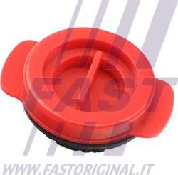 Fast FT38802 - Etansare, pompa ulei parts5.com