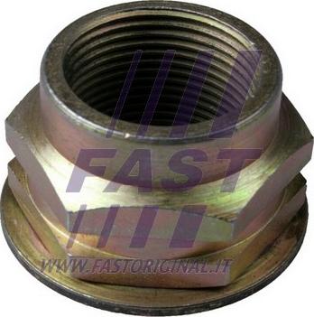 Fast FT26010 - Piulita ax, planetara parts5.com