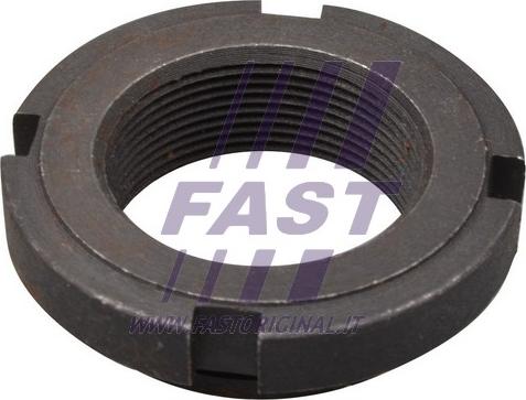 Fast FT26030 - Piulita, articulatie sarcina / ghidare parts5.com