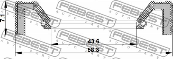 Febest 95KAY-45580707R - Shaft Seal, manual transmission main shaft parts5.com