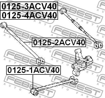 Febest 0125-4ACV40 - Brat, suspensie roata parts5.com