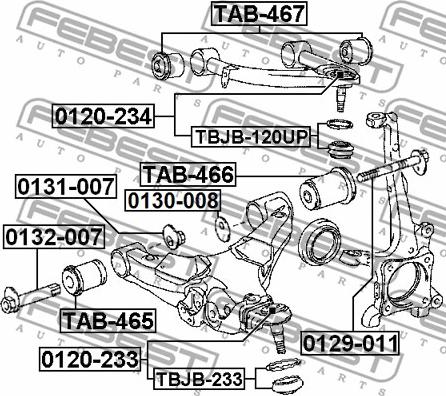 Febest 0129-011 - Surub corectare inclinare parts5.com