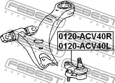 Febest 0120-ACV40L - Articulatie sarcina / ghidare parts5.com