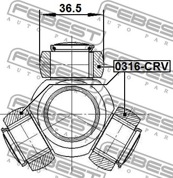 Febest 0316-CRV - Tripoda,cardan parts5.com