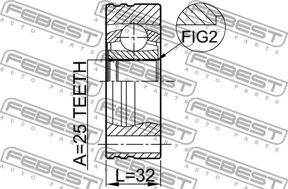 Febest 1911-E34 - Liigendlaager, veovõll parts5.com