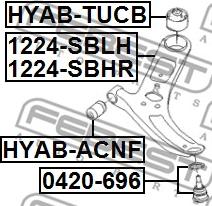 Febest 1224-SBRH - Brat, suspensie roata parts5.com